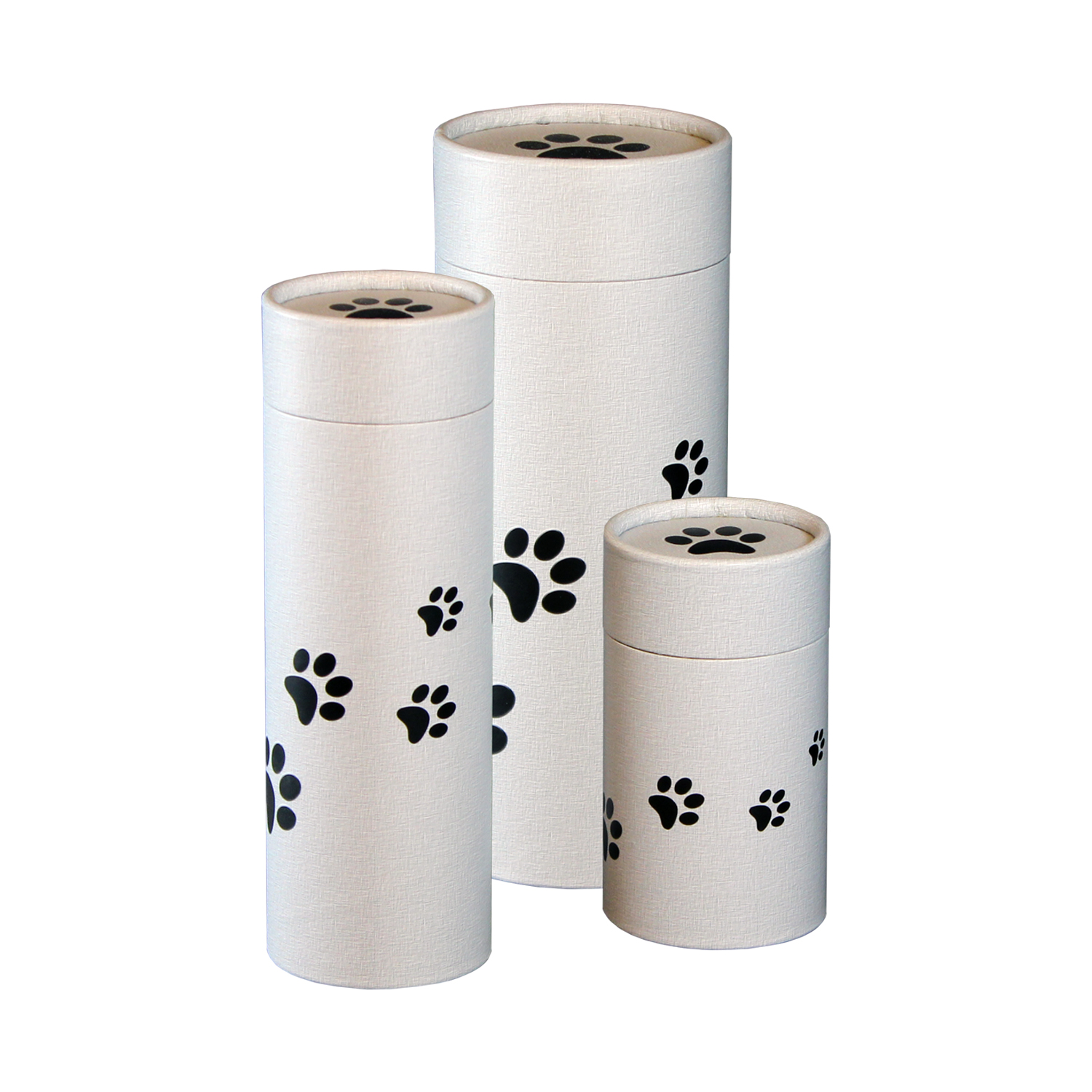 Paw Prints