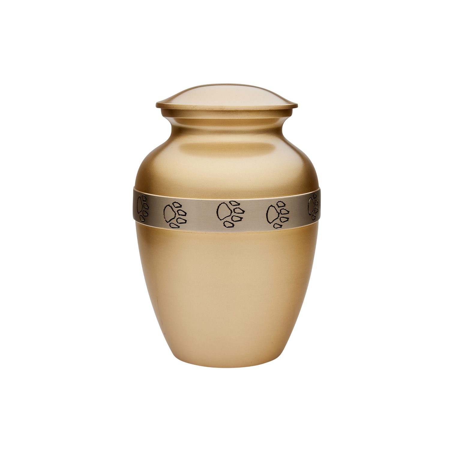 Friendship Series - Camel