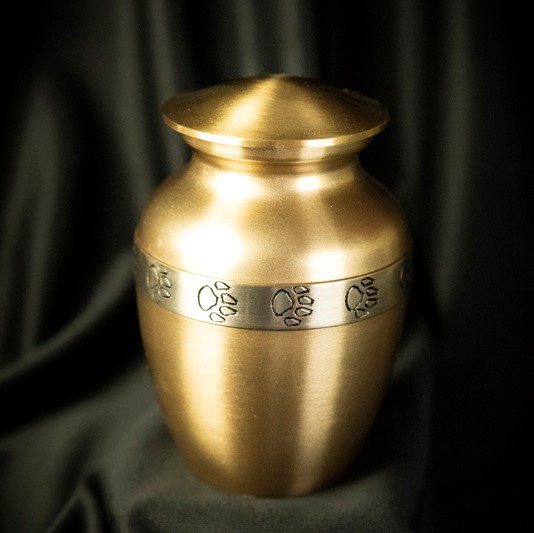 Friendship Series - Camel - Image 2