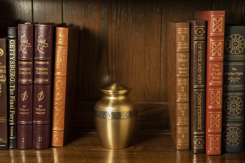 Friendship Series - Camel - Image 4