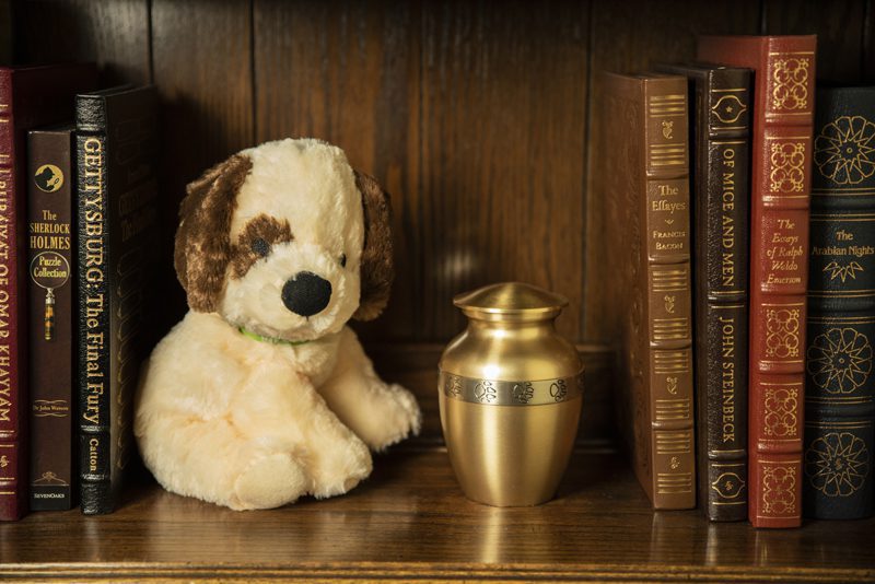 Friendship Series - Camel - Image 5