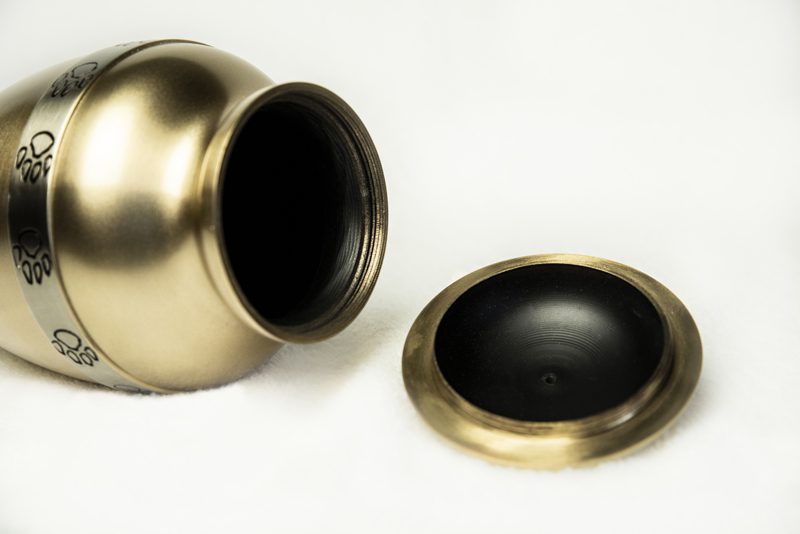 Friendship Series - Camel - Image 7