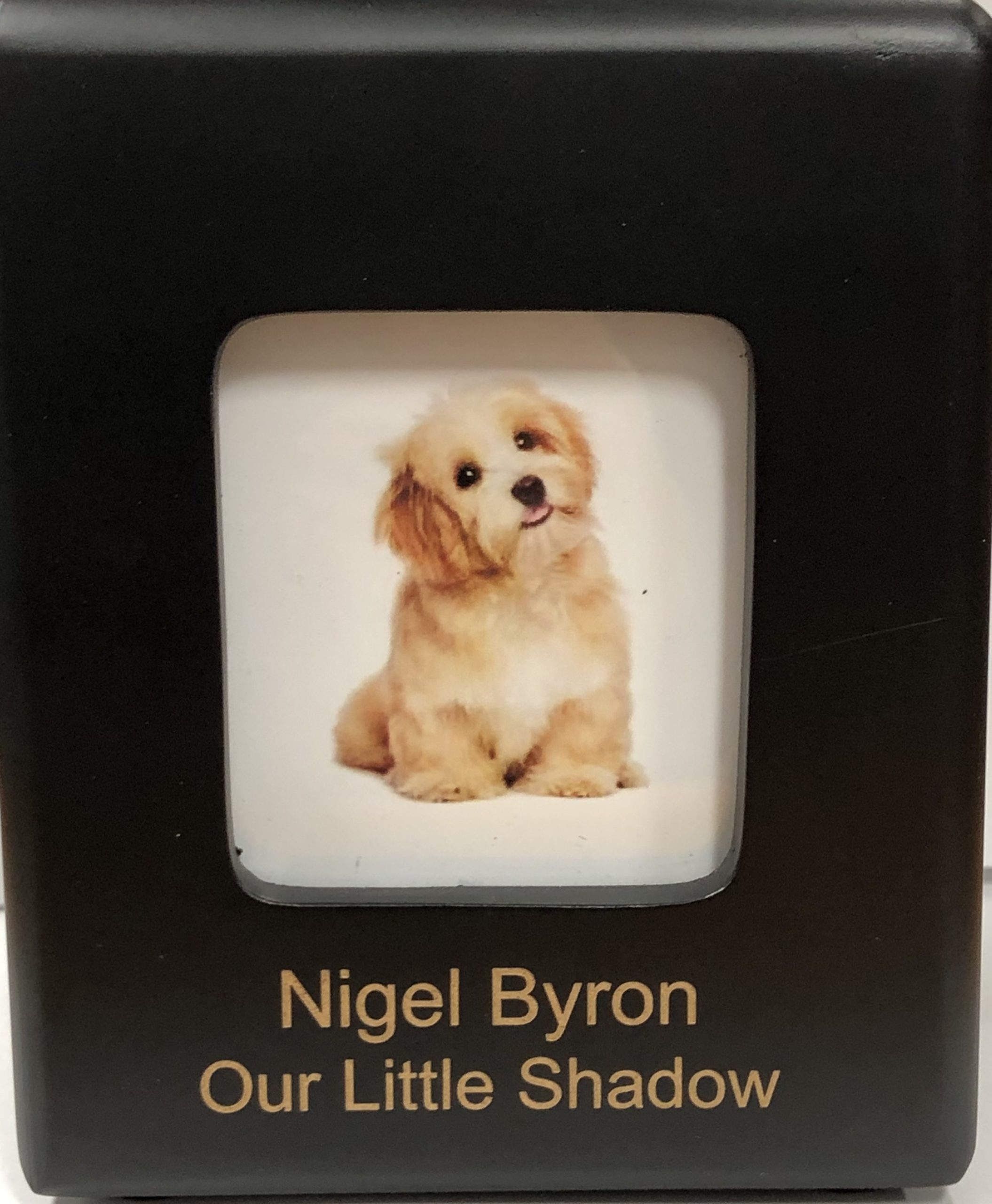 Loving Portrait Urn - Black - Image 3